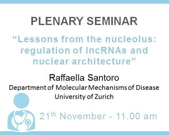 Plenary Lecture: “Lessons from the nucleolus: regulation of lncRNAs and nuclear architecture”