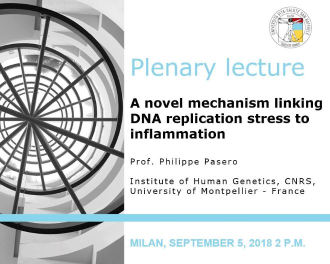 Plenary Lecture: “A novel mechanism linking DNA replication stress to inflammation”