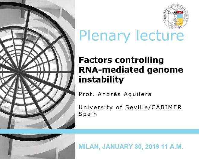 Plenary Lecture: “Factors controlling RNA-mediated genome instability”