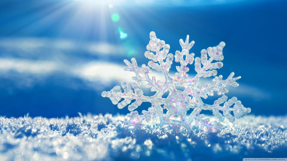 L&#39;inverno tra arte e magia: la scienza dei fiocchi di neve Università  Vita-Salute San Raffaele