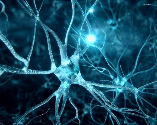 Uno studio UniSR esplora il ruolo del sistema nervoso periferico nello sviluppo della SLA