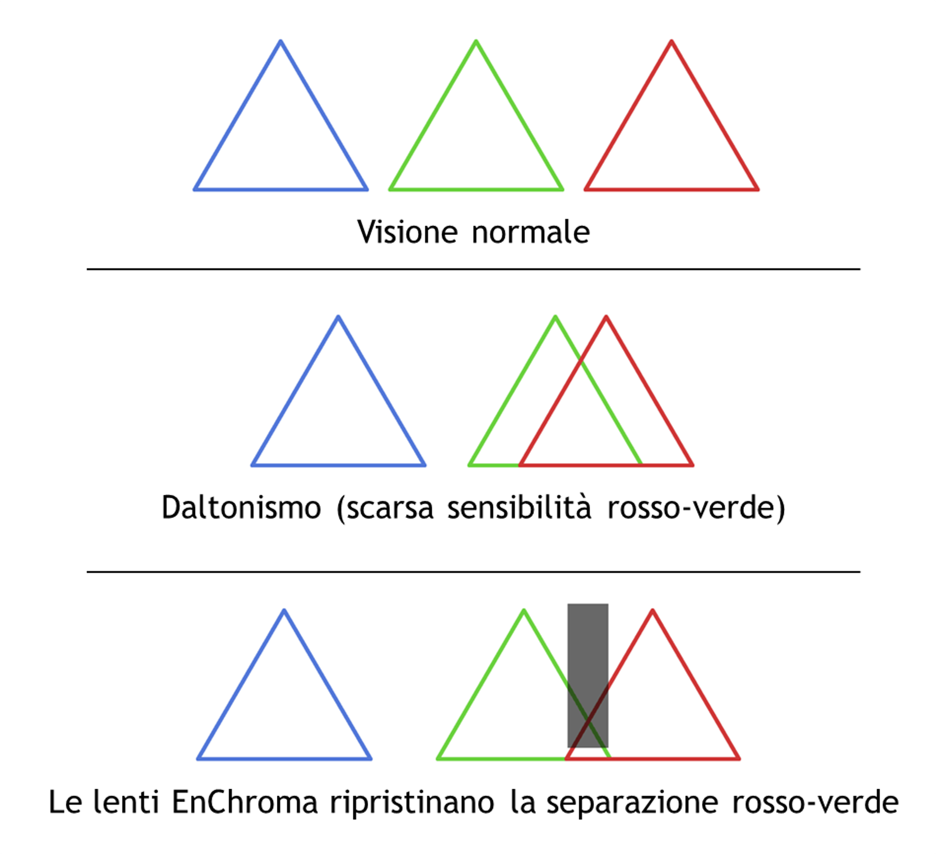 Enchroma Le Lenti Che Potrebbero Restituire I Colori Ai Daltonici Universita Vita Salute San Raffaele