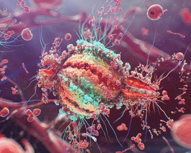 Strategie di un virus intelligente: ecco come HIV persiste nel sistema immunitario