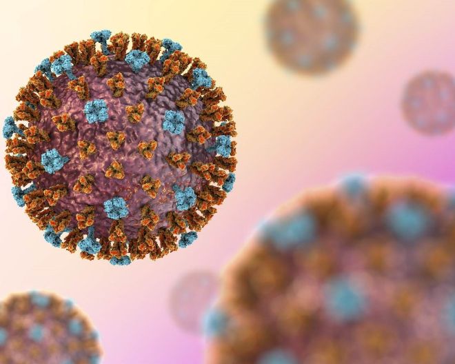 Da virus dell'influenza pandemica a stagionale: identificate le 4 mutazioni responsabili