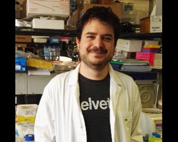 Enrico Milan, postdoc, dottorato UniSR in Medicina Molecolare