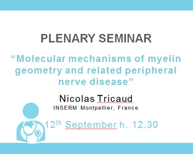 Plenary Seminar: “Molecular mechanisms of myelin geometry and related peripheral nerve disease”