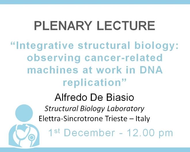 Plenary Lecture: “Integrative structural biology: observing cancer-related machines at work in DNA replication”