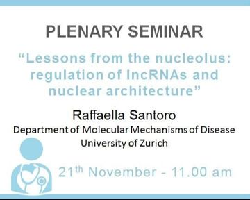 Plenary Lecture: “Lessons from the nucleolus: regulation of lncRNAs and nuclear architecture”
