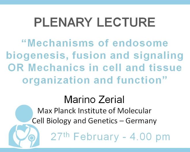 Plenary Lecture: Mechanics in cell and tissue organization and function