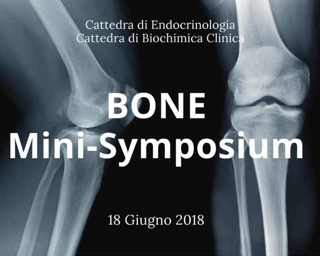 Al San Raffaele il BONE Mini-Symposium