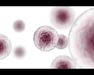 Nobel per la Medicina 2018 per l’immunoterapia dei tumori: il commento della Prof.ssa Chiara Bonini