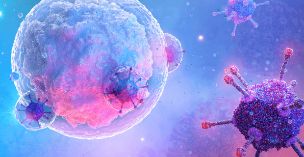 I linfociti T sono sufficienti a proteggere da COVID-19 anche in assenza di anticorpi