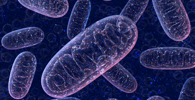 Nuove prospettive nella ricerca sulla SPAX5: Sephin-1 come possibile terapia