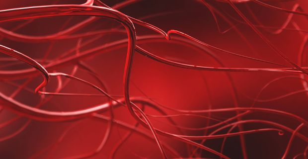 UniSR Vascular Surgery Grand Rounds Ed. 2024