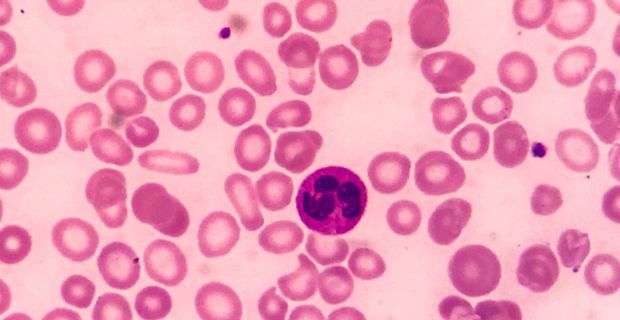Donare il sangue: basti tu per fare la differenza
