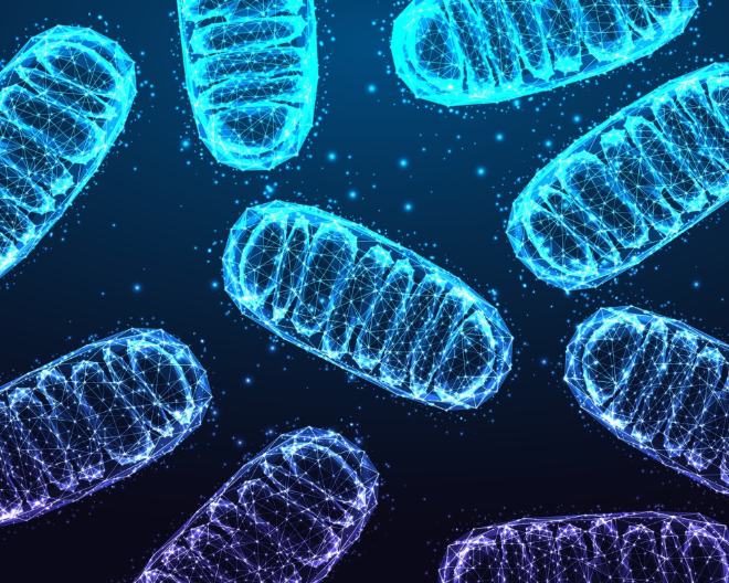 Un nuovo approccio per potenziare l’immunoterapia nel mieloma multiplo