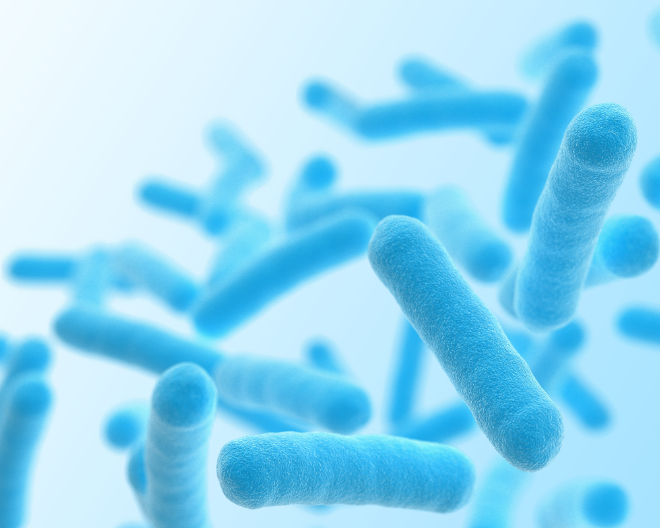 Il microbioma come alleato contro il mieloma 