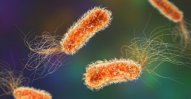 Svelare il ruolo nascosto dei microRNA batterici nelle malattie respiratorie croniche