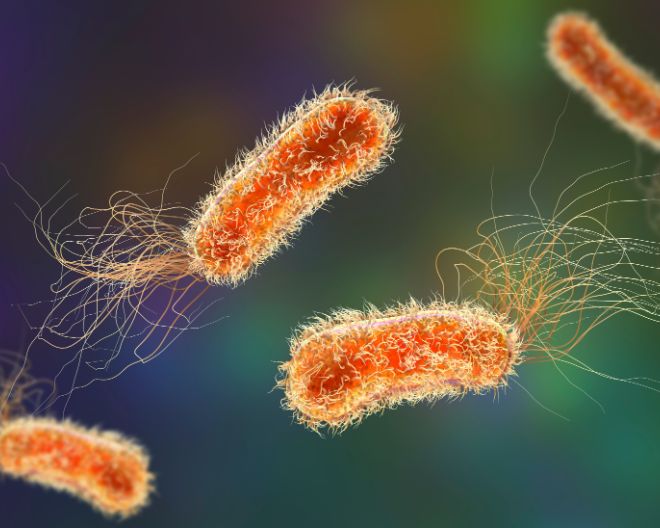 Svelare il ruolo nascosto dei microRNA batterici nelle malattie respiratorie croniche