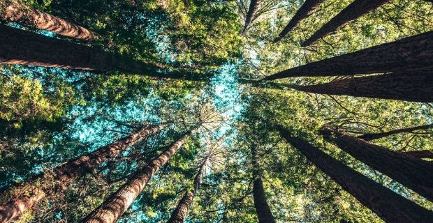 Research and Innovation on Green related issues: PON 2021 Call for Application