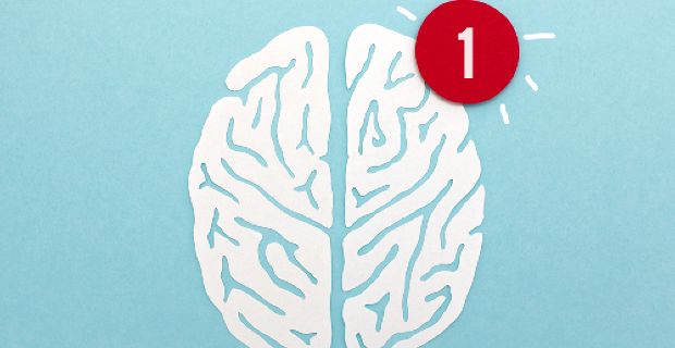 SINe-INS annual conference: Ways of Investigating the Brain