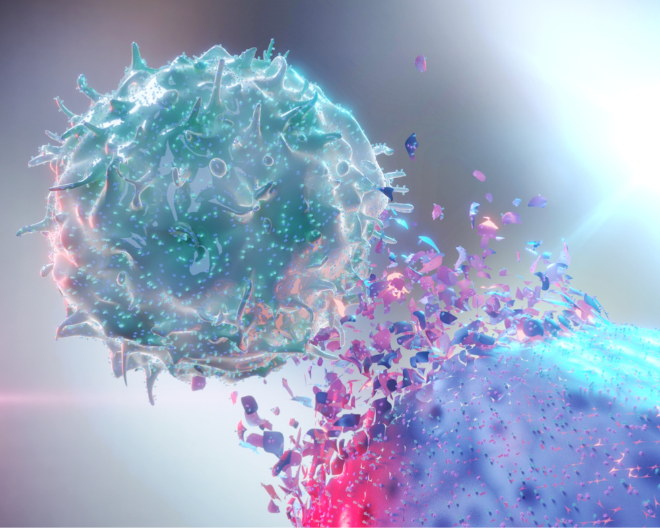 Dimostrata l’efficacia preclinica dei linfociti NKT come piattaforma cellulare universale per il trattamento dei tumori