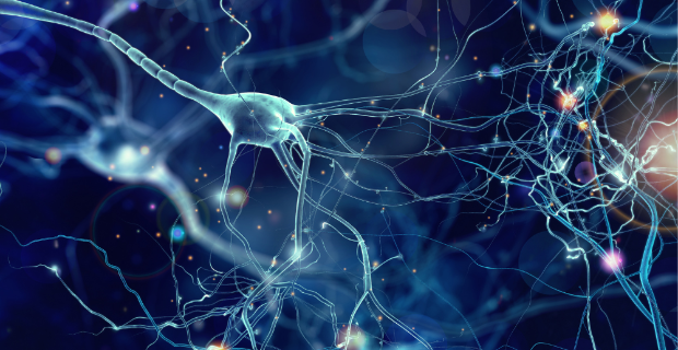 Sclerosi multipla: il primo studio clinico al mondo con staminali neurali