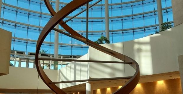 THE World University Rankings 2022: excellent results for Vita-Salute San Raffaele University