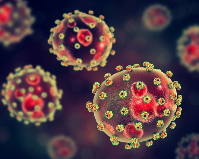 Da Ebola a Junin: all’origine delle emorragie c’è la risposta infiammatoria al virus