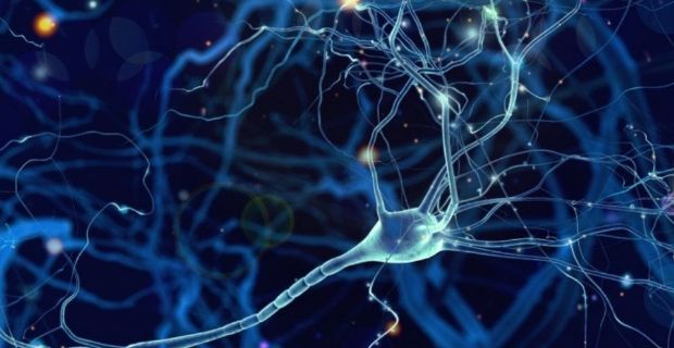 New preclinical results reveal the mechanism behind the anxiolytic effect of LSD
