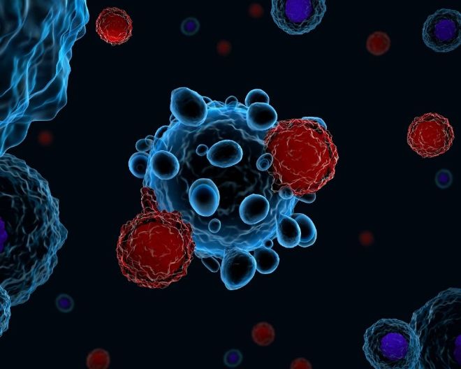 New engineered lymphocytes show promising preclinical results in AML