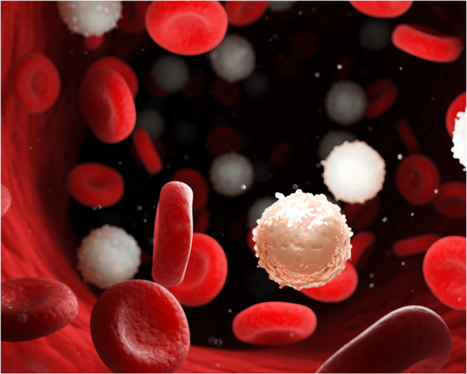 Acute lymphoblastic leukemia: two results from San Raffaele could favor prognosis and therapy