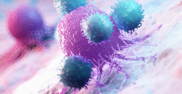 A study on anti-tumor T lymphocytes opens up future therapeutic products against acute myeloid leukemia