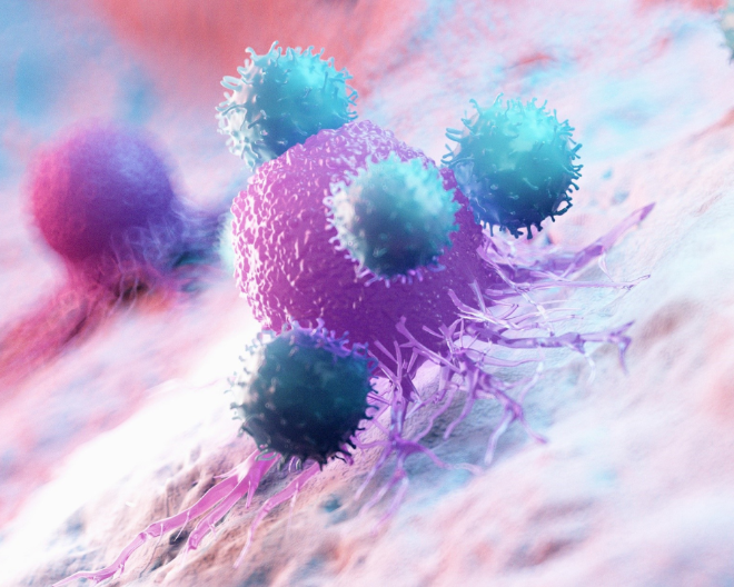 Un studio su linfociti T anti-tumorali apre a prodotti terapeutici futuri contro leucemia mieloide acuta