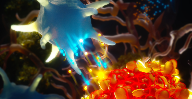 Discovered a key-mechanism in the pathogenesis of pancreatic cancer