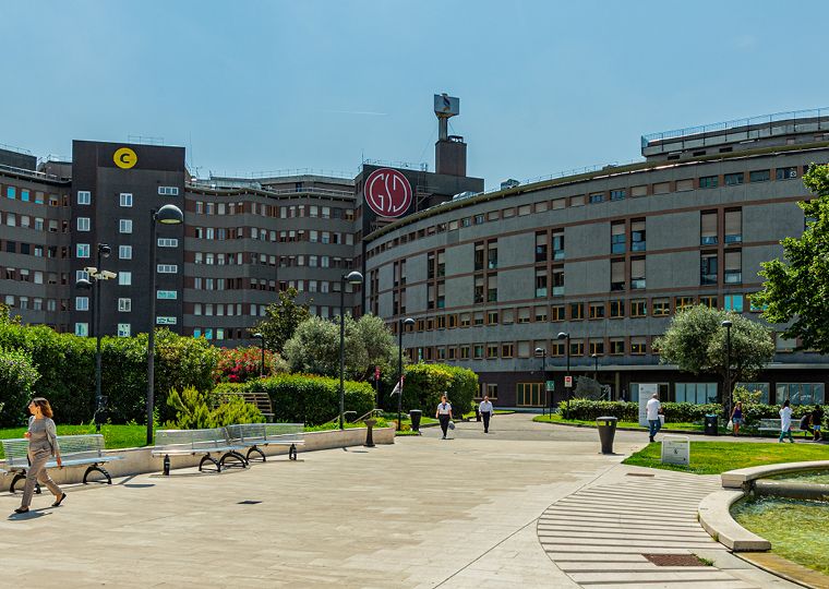 IRCCS Ospedale San Raffaele