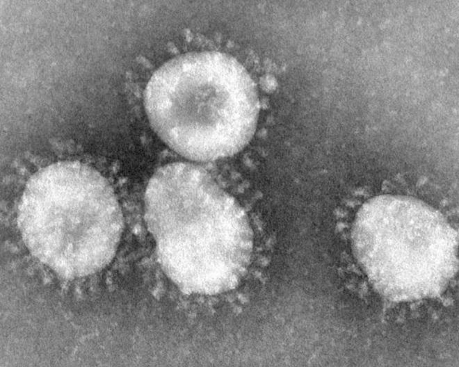 Coronavirus isolato allo Spallanzani: cosa vuol dire e perché è importante