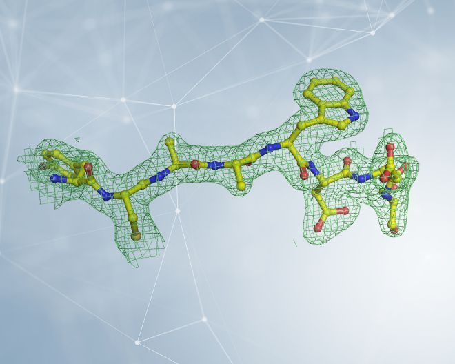 La biologia strutturale per SARS-CoV-2: la cristallografia a raggi X