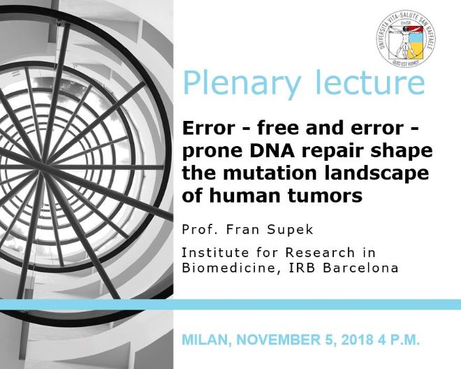 Plenary Lecture: “Error-free and error-prone DNA repair shape the mutation landscape of human tumors”